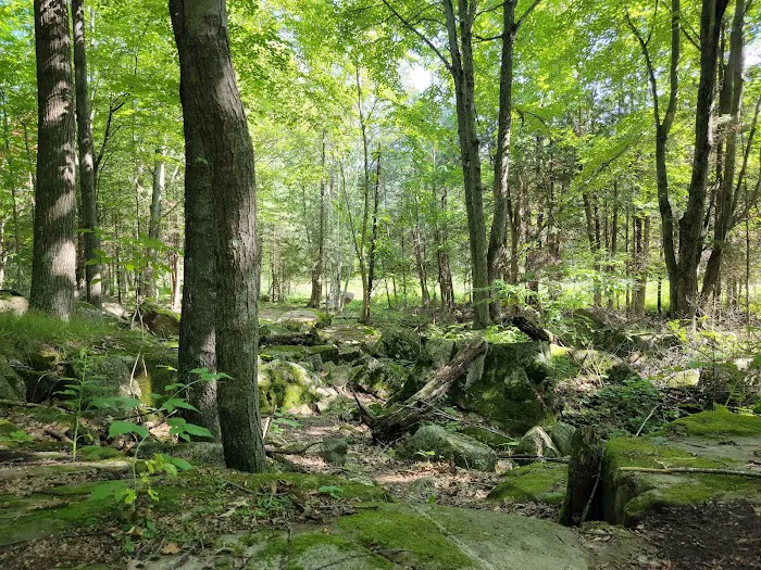 Tigerton OHV Park & Campground Picture 9