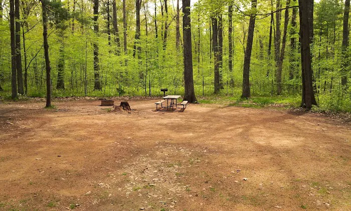 Lake Dubay Park Campground Picture 6