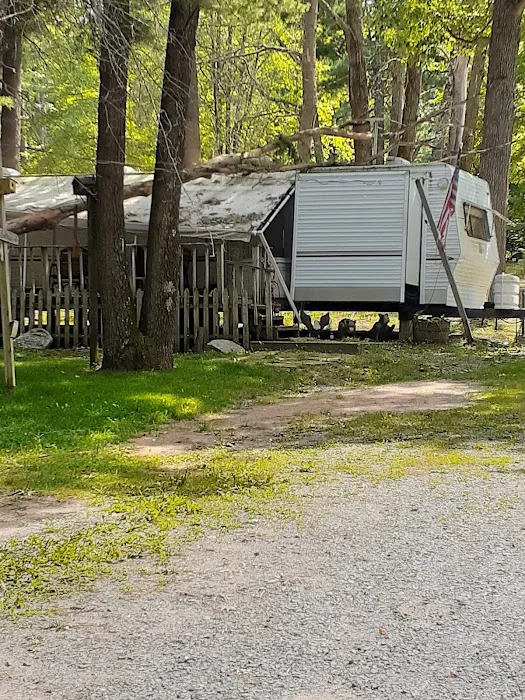 Lake DuBay Shores Campground Picture 10