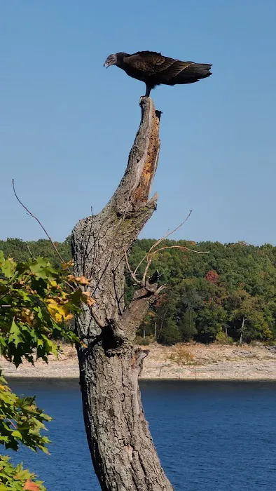 Ray Behrens camp Picture 10