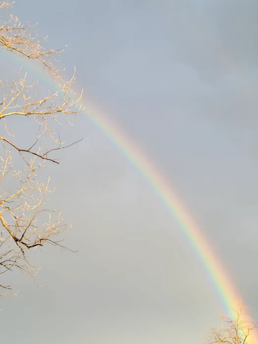 MGM Lakeside Campground Picture 10