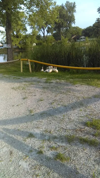 MGM Lakeside Campground Picture 16