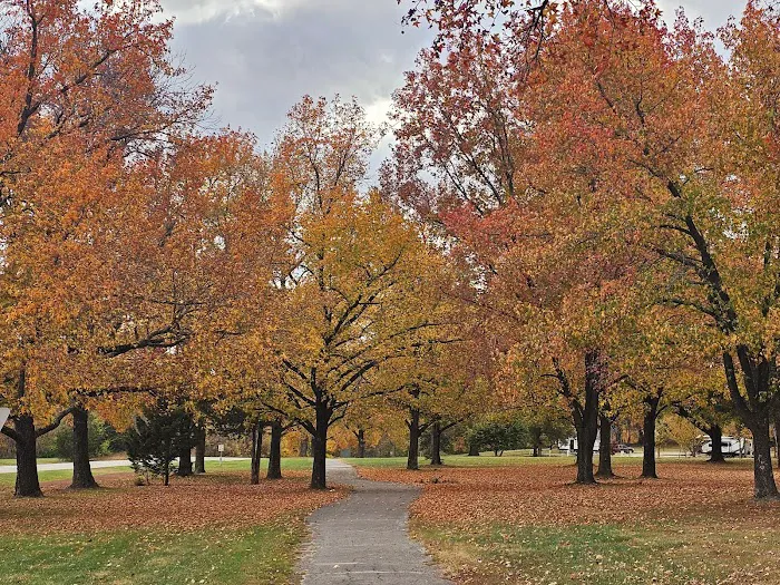 Pere Marquette Campground Picture 4