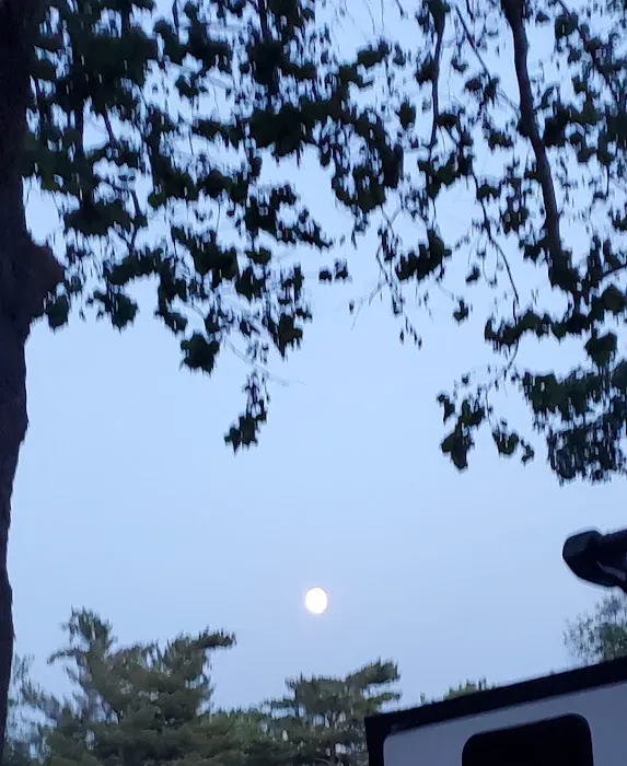 Pere Marquette Campground Picture 8