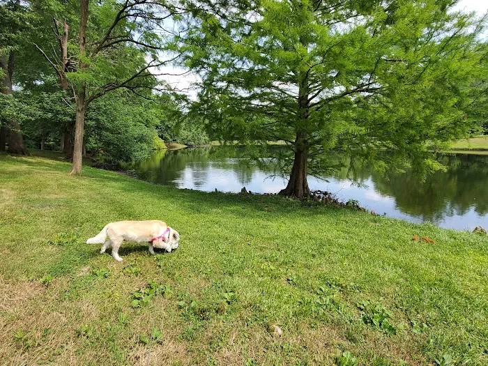 Okaw Valley Kampground Picture 6