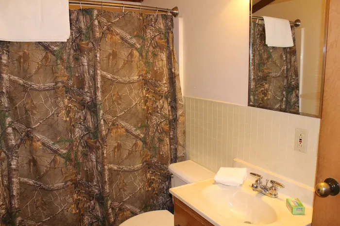 Hazlet Cottages on Carlyle Lake Picture 3