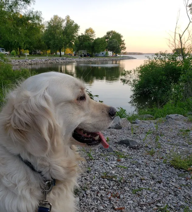 Coles Creek Campground Picture 9