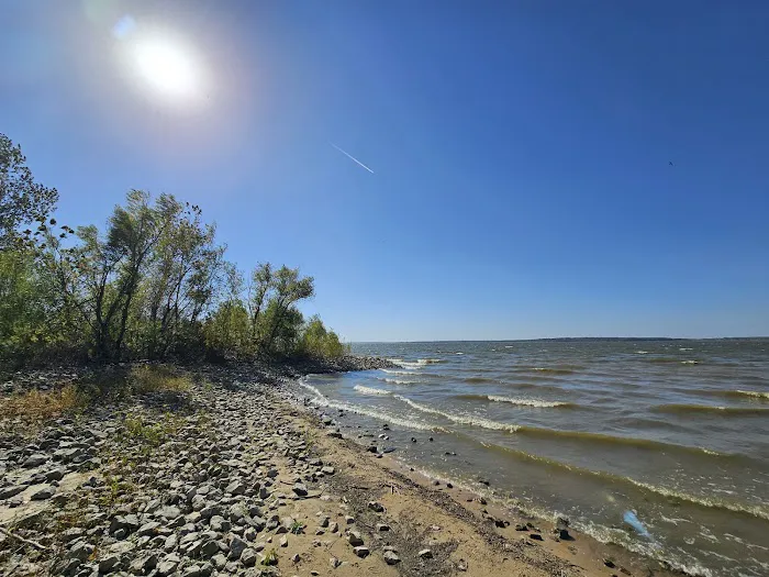 Coles Creek Campground Picture 5