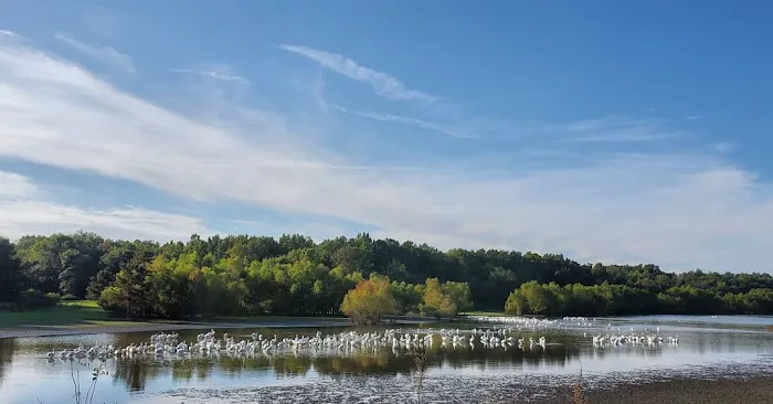 Illini Campground Picture 7