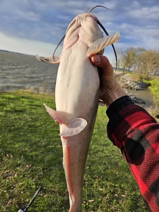 Illini Campground Picture 4