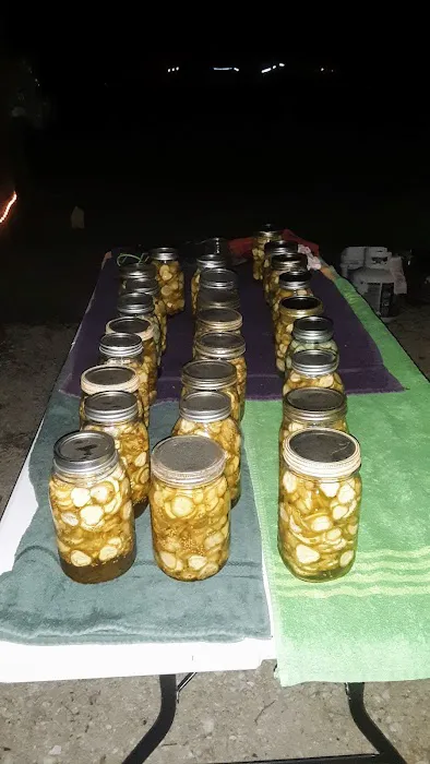 Carlyle Village Campground Picture 5