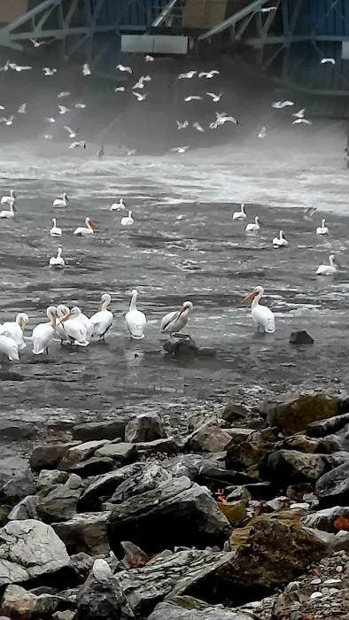 Dam East-McNair Campground Spillway Loop Picture 8