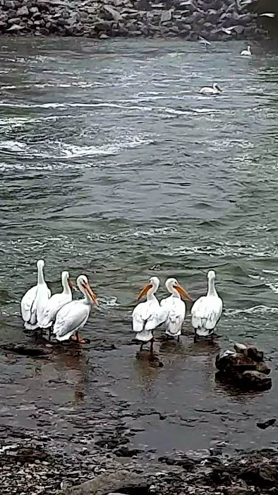 Dam East-McNair Campground Spillway Loop Picture 7