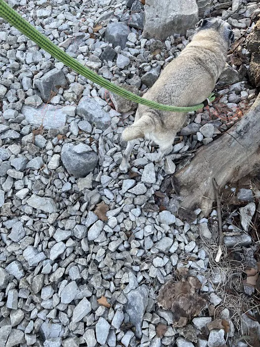 Dam East-McNair Campground Spillway Loop Picture 14