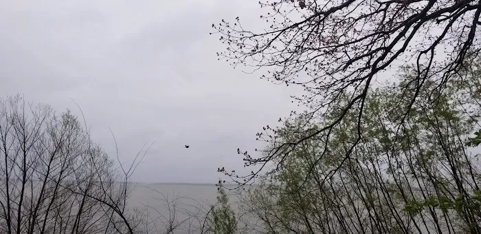 McNair Group Area Picture 6