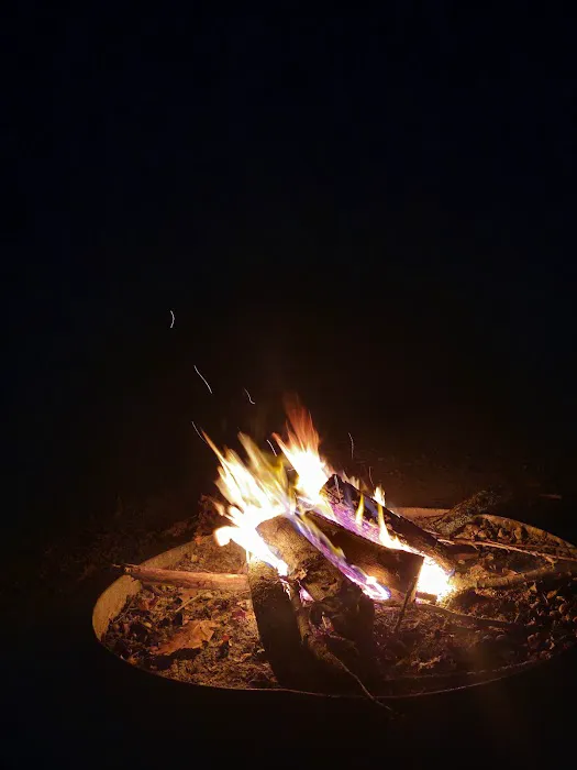 Council Bluff Lake (Wild Boar) Campground Picture 1