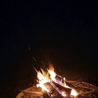 Council Bluff Lake (Wild Boar) Campground ico