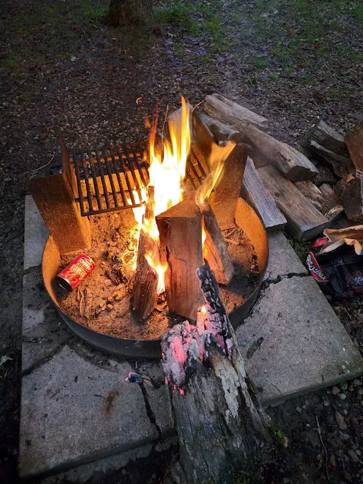 Council Bluff Lake (Wild Boar) Campground Picture 5