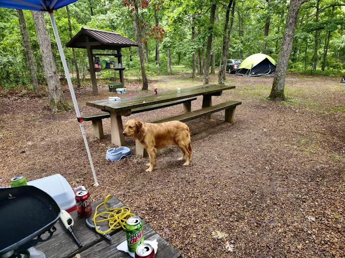 Council Bluff Lake (Wild Boar) Campground Picture 7