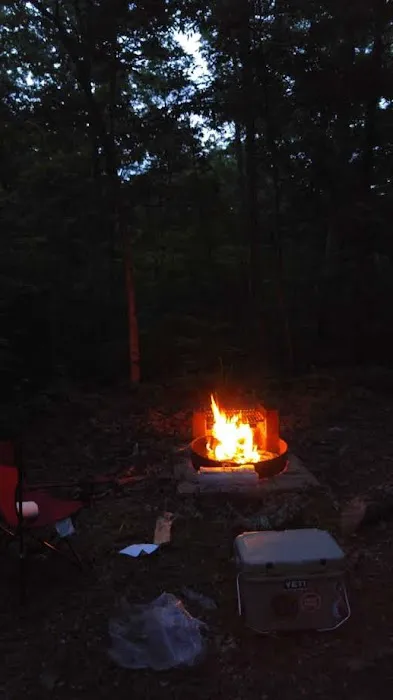 Wild Boar Ridge Campground Picture 1