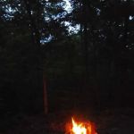 Wild Boar Ridge Campground