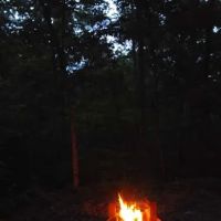 Wild Boar Ridge Campground ico