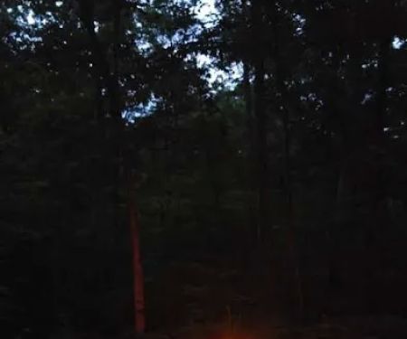 Wild Boar Ridge Campground