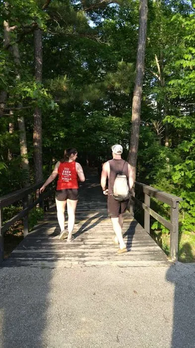 Wild Boar Ridge Campground Picture 6