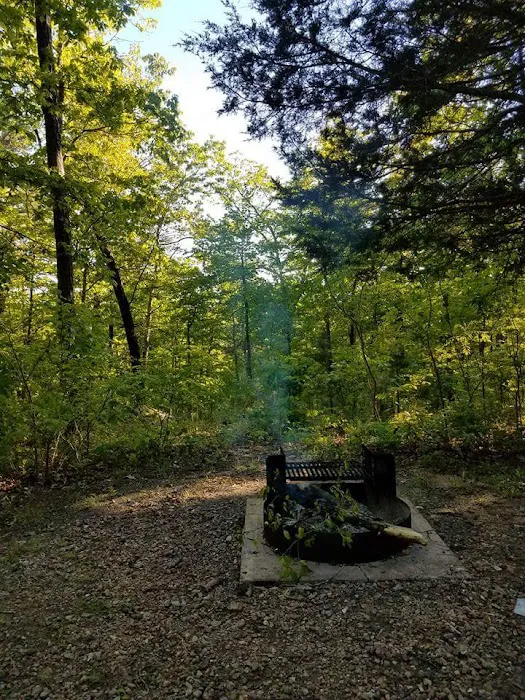 Wild Boar Ridge Campground Picture 10