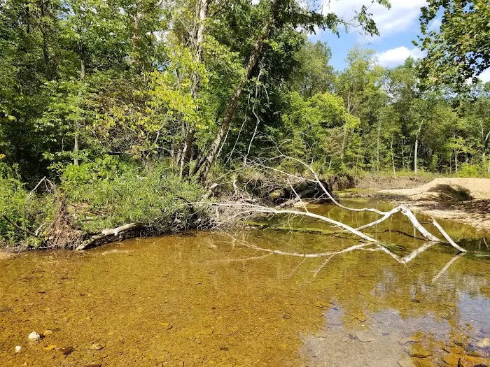 Hazel Creek Campground Picture 4
