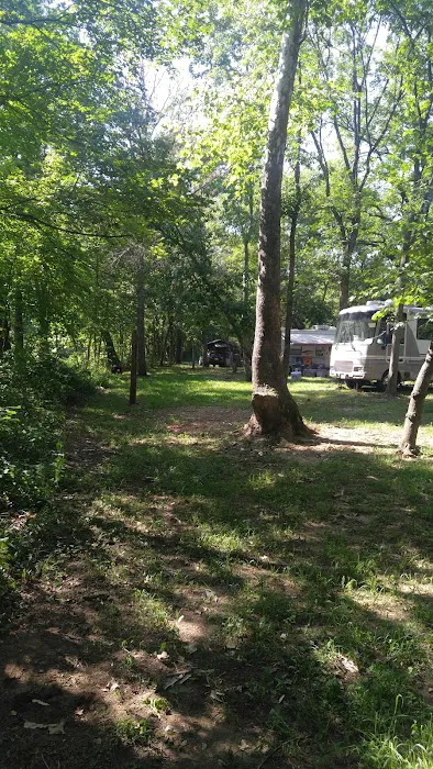 Hazel Creek Campground Picture 6