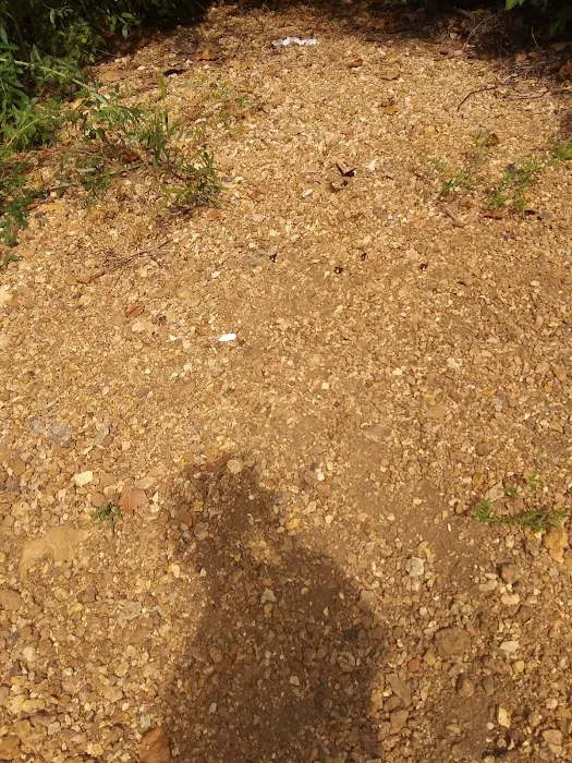 Hazel Creek Campground Picture 8