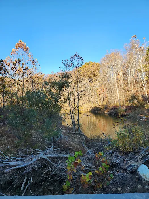 Hazel Creek Campground Picture 7