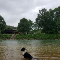 Little River House ico