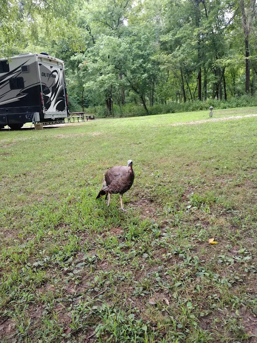 Big Spring Campground Picture 13