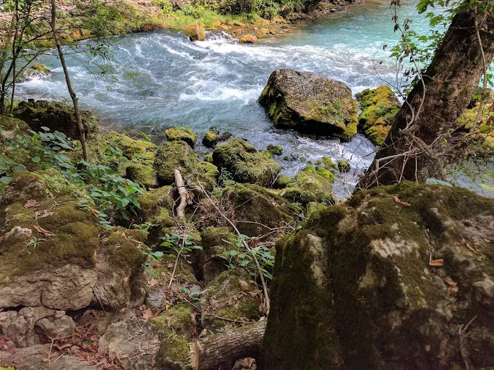 Big Spring River Camp Picture 8