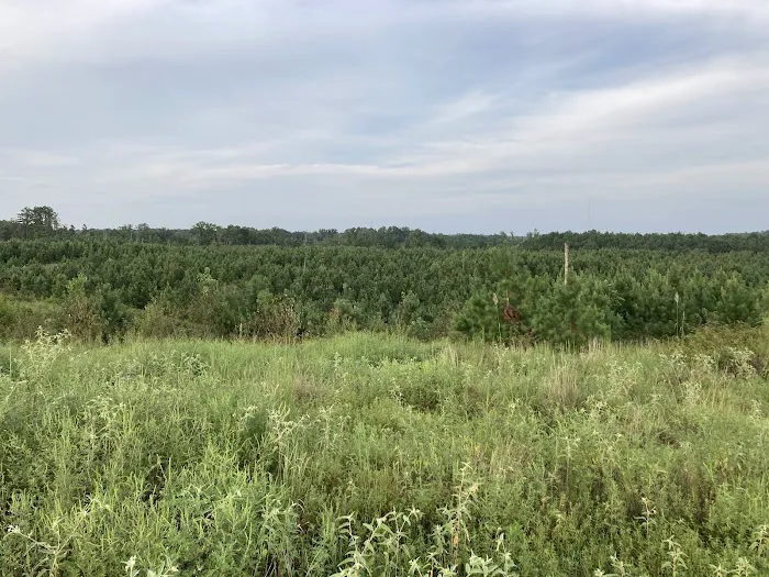 Elvis Presley Lake & Campground Picture 3