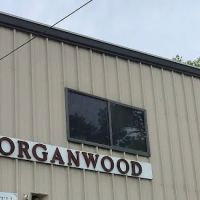 Morganwood Youth Camp ico