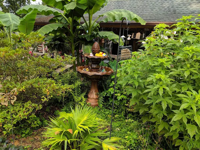 Campground At Barnes Crossing Picture 3