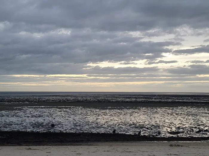 Shired Island Campground Picture 5