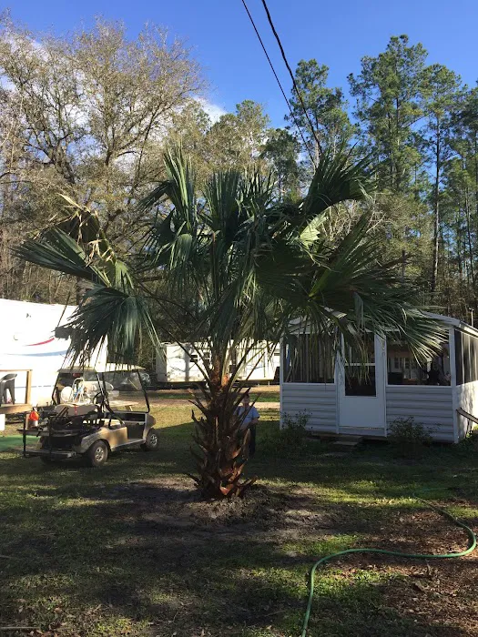 Shady Oaks Campground Picture 1