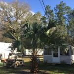 Shady Oaks Campground