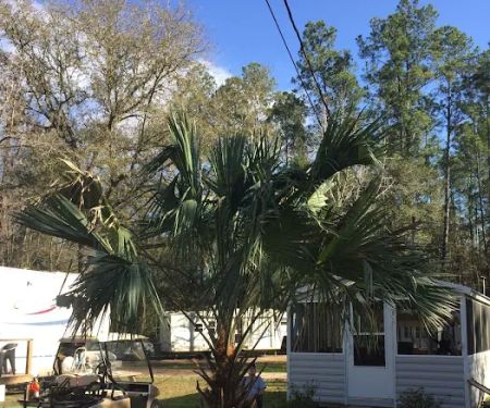 Shady Oaks Campground