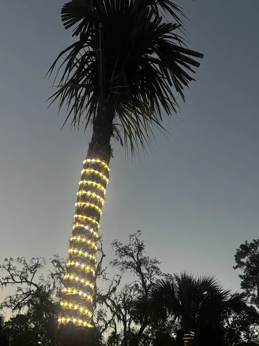 Glowing Palms RV Park, llc Picture 5