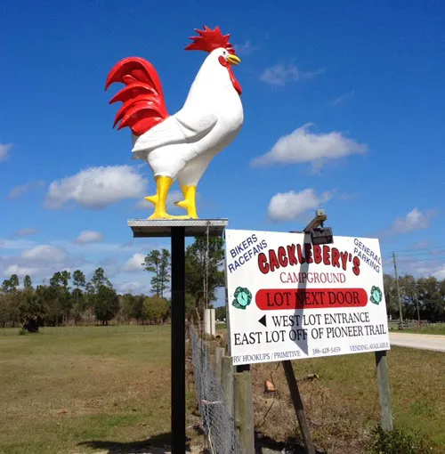 Cacklebery Campground Picture 6