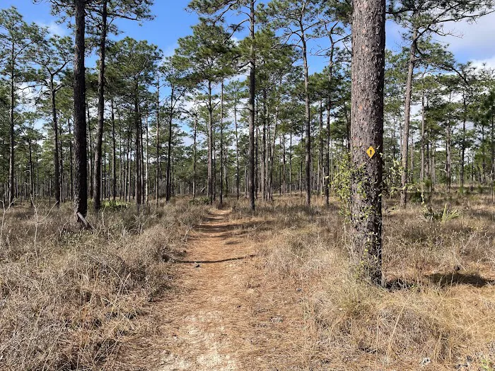 Clearwater Lake campground Picture 4