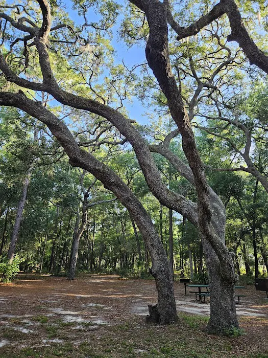 Clearwater Lake campground Picture 7