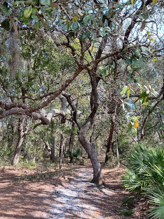 Clearwater Lake campground Picture 8