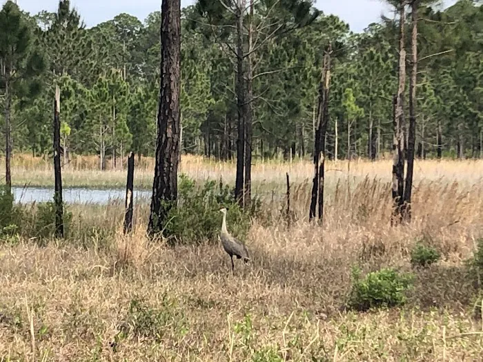 Clearwater Lake Recreation Picture 3