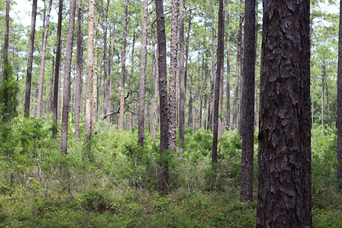 Clearwater Lake Recreation Picture 7